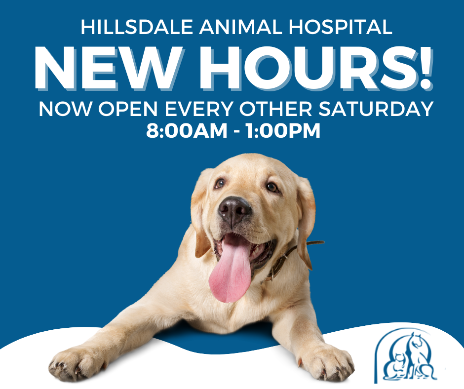 Welcome to Hillsdale Animal Hospital!
