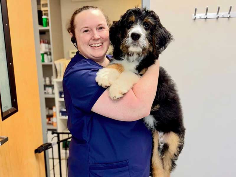 Veterinary Resources for your Pet